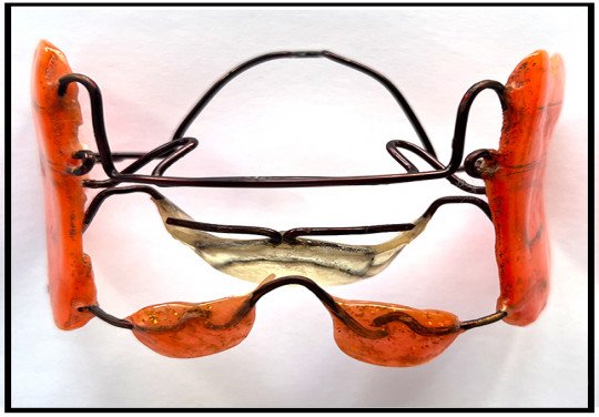 saraswati dental college