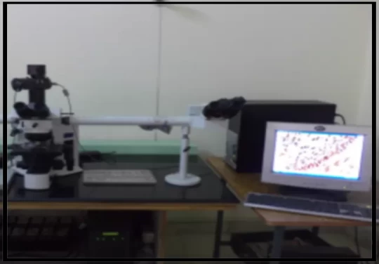 saraswati dental college