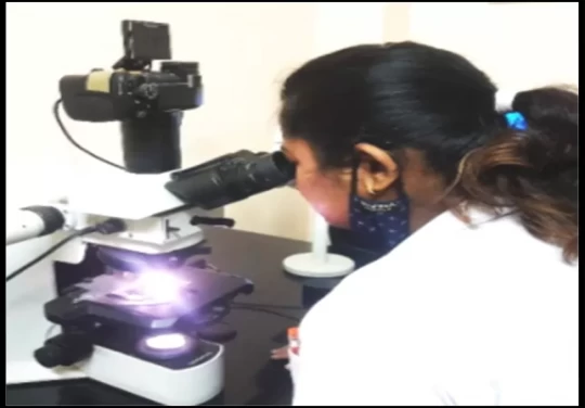 saraswati dental college