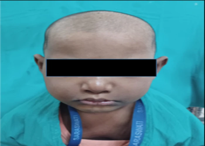 saraswati dental college