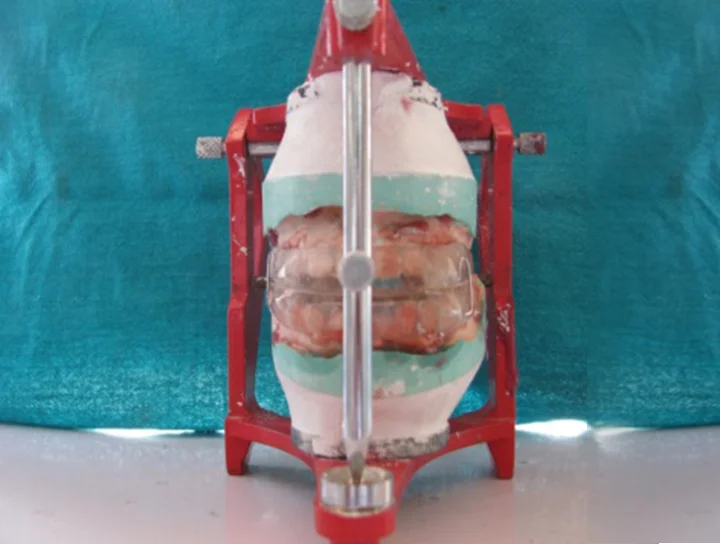 saraswati dental college