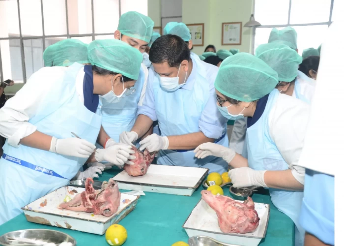 saraswati dental college