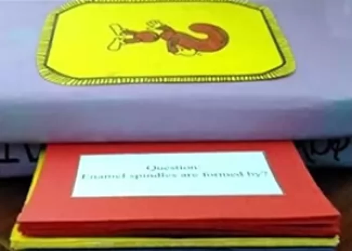 saraswati dental college