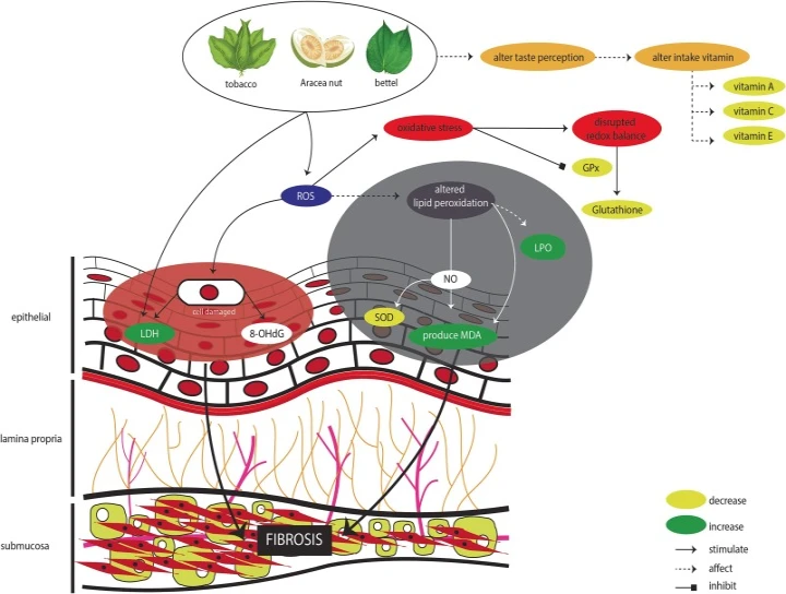 saraswati dental college