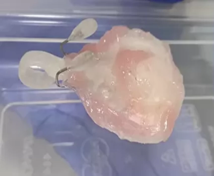 saraswati dental college