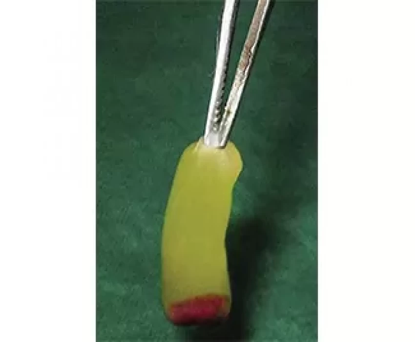 saraswati dental college