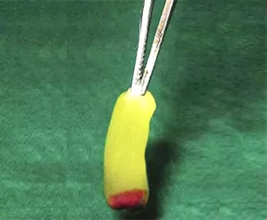 saraswati dental college