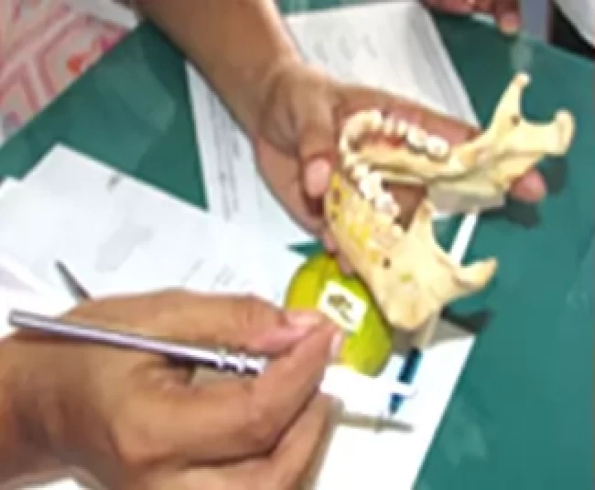 saraswati dental college