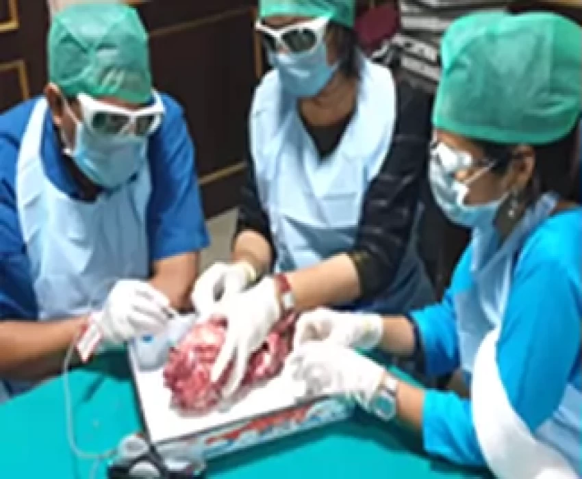 saraswati dental college