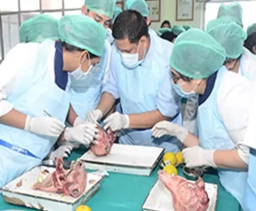 saraswati dental college