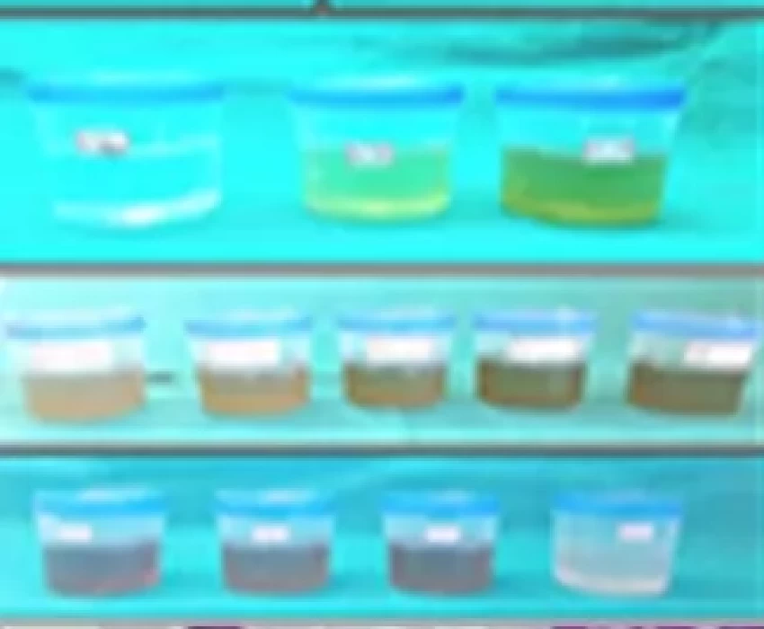 saraswati dental college