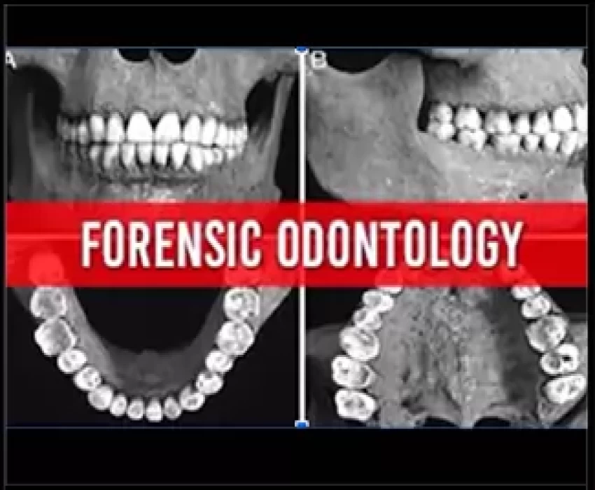 saraswati dental college