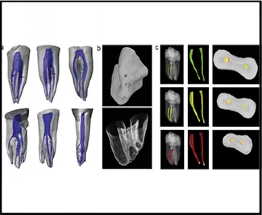 saraswati dental college