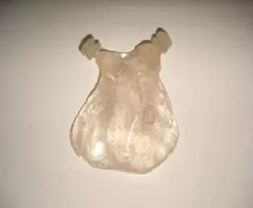 saraswati dental college