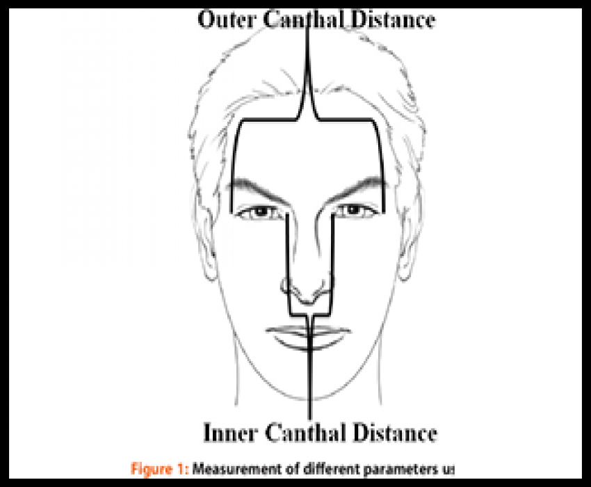 saraswati dental college