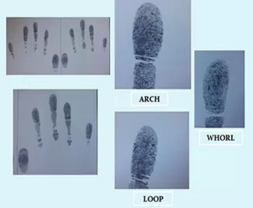 saraswati dental college