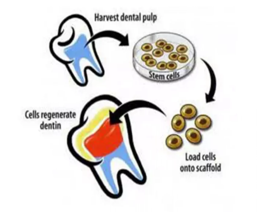 saraswati dental college