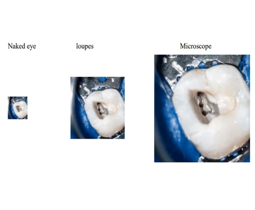 saraswati dental college