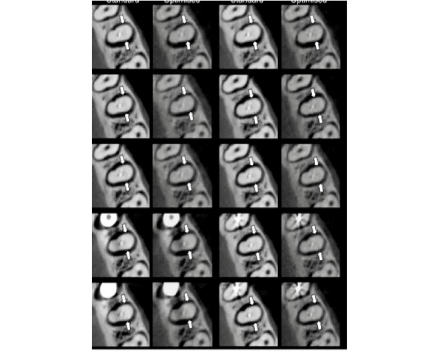 saraswati dental college