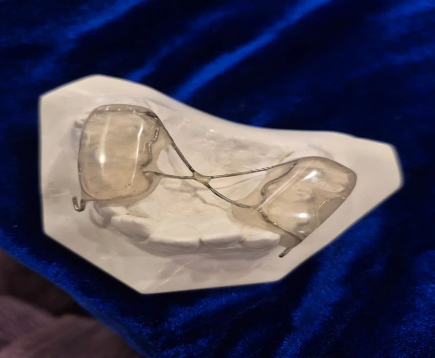 saraswati dental college