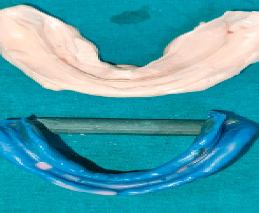 saraswati dental college