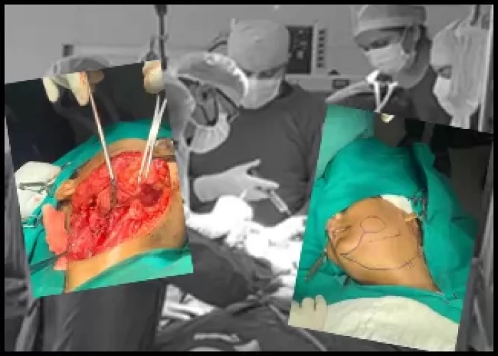 saraswati dental college